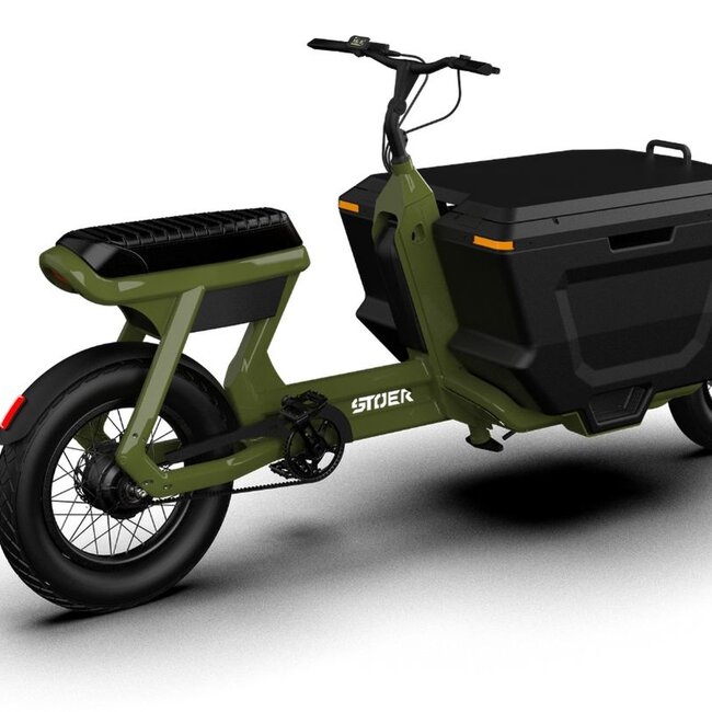 STOER Bikes | CargoX | Business | 250 W | Forrest Green | 100 km