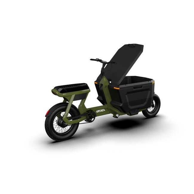 STOER Bikes | CargoX | Business | 250 W | Forrest Green | 100 km