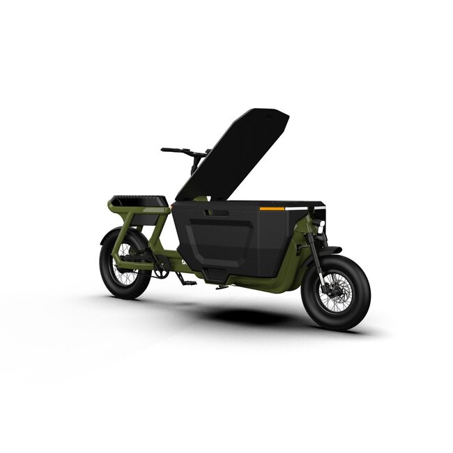 STOER Bikes | CargoX | Business | 250 W | Forrest Green | 100 km