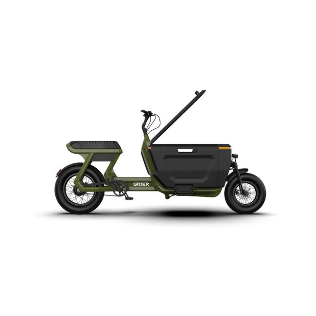 STOER Bikes | CargoX | Business | 250 W | Forrest Green | 100 km