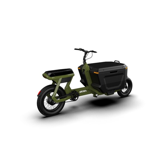 STOER Bikes | CargoX | Business | 250 W | Forrest Green | 100 km