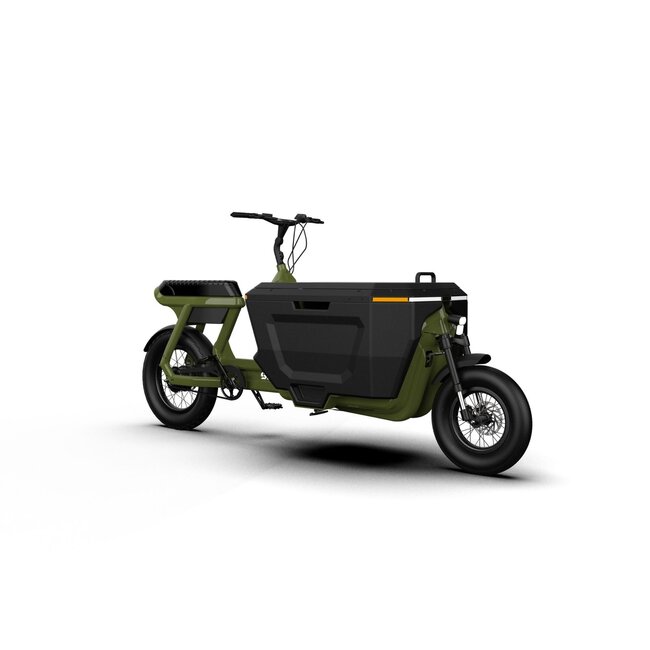 STOER Bikes | CargoX | Business | 250 W | Forrest Green | 100 km