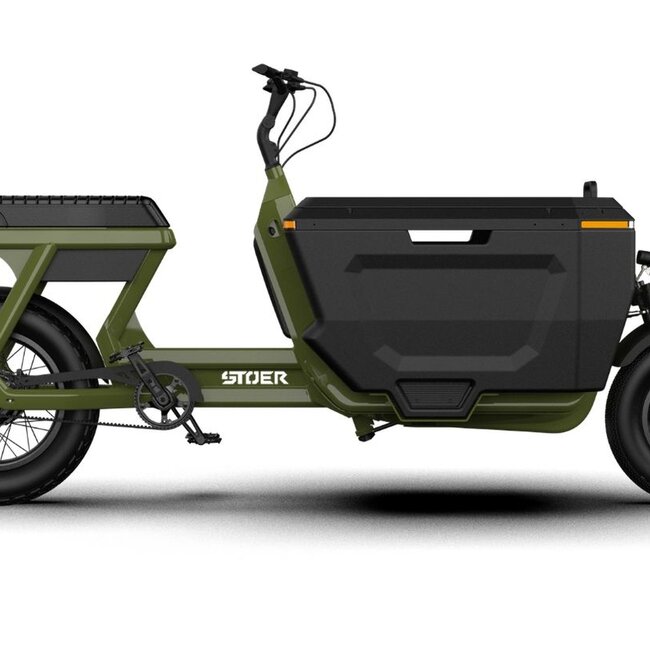 STOER Bikes | CargoX | Business | 250 W | Forrest Green | 100 km