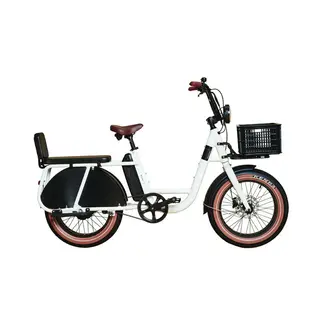 Brinckers Buddy | Longtail | 250 W | Glossy white | 60 km