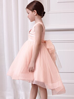 Abel & Lula Tulle dress Cake