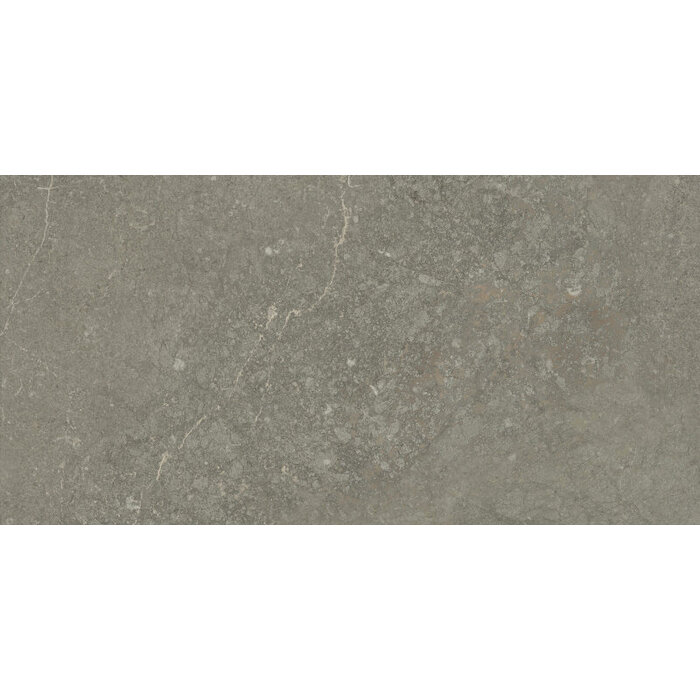 Cifre Cerámica Munich Taupe wandtegel 30x60 rett