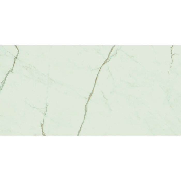 Atlas Concorde Solution Exigo Calacatta gepolijst 30x60 rett