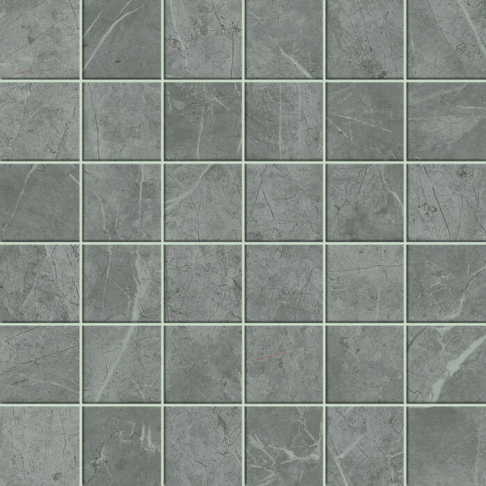 Atlas Concorde Solution Exigo Jolie Grey mat mozaiek 5x5 op net van 30x30