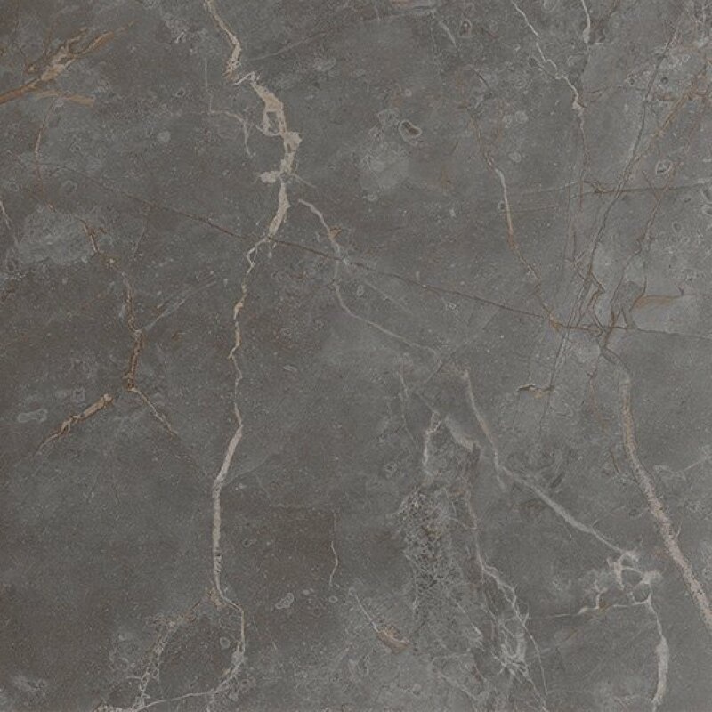 Roma Stone Pietra Grey zijde glans 80x80 rett