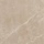 Roma Stone Pietra Beige zijde glans 80x80 rett