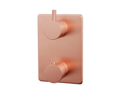 Caral afbouwdeel inbouwthermostaat 2 weg geborsteld koper