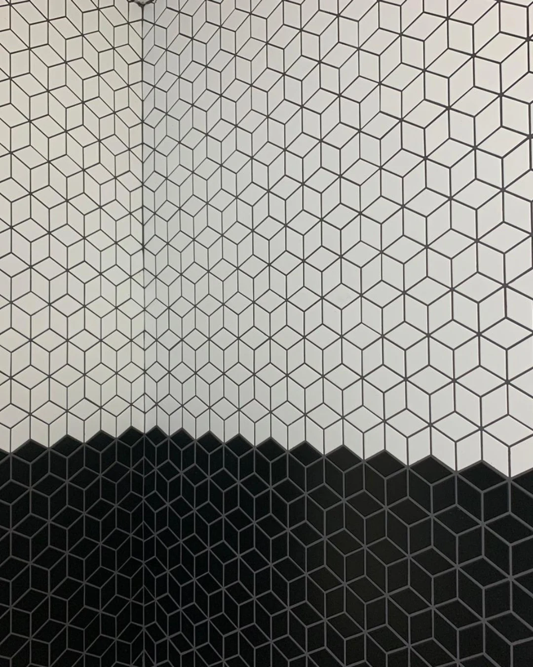 The Mosaic Factory Mozaiek Paris Cubic Zwart 4,8x8,1