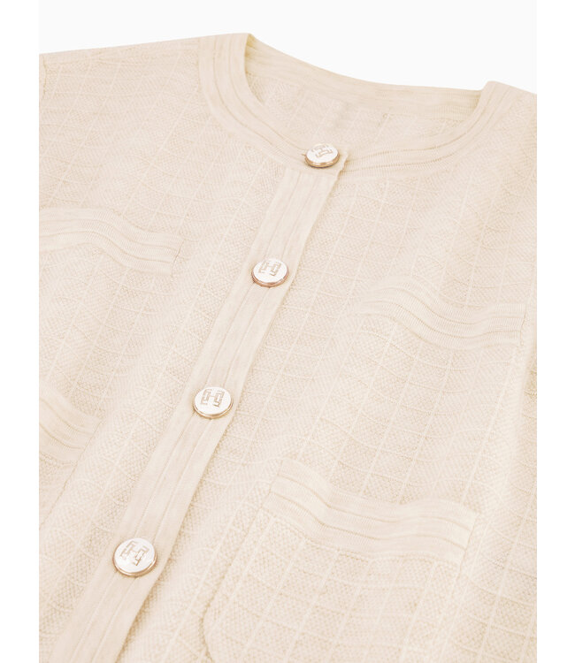 FIFTH HOUSE DESMOND Vest