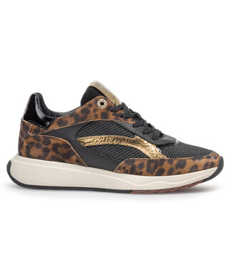 Floris van Bommel Floris van Bommel SUVI Sneaker UZ
