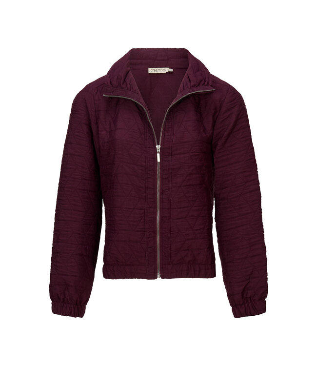 Dreamstar FERRIS Jas