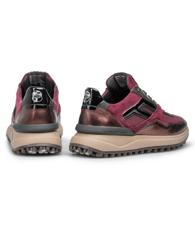 Floris van Bommel NOPPI G Sneaker