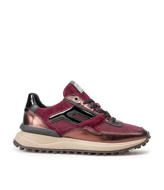 Floris van Bommel Floris van Bommel NOPPI G Sneaker