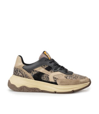 Floris van Bommel Floris van Bommel HOLLI G Sneaker