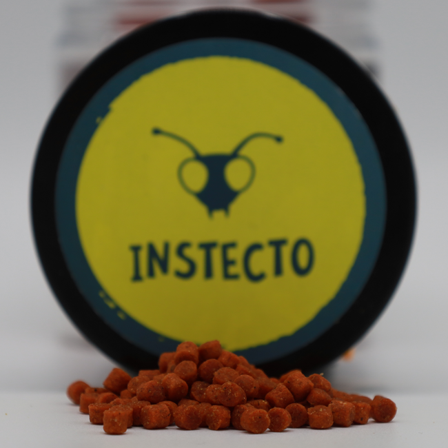 CC Solution Boilies InStecto - Hard Feeding Pellets - 5KG - 4mm - Orange