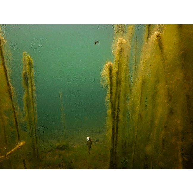 FOX Kit flotteur Zig Edges (complet)