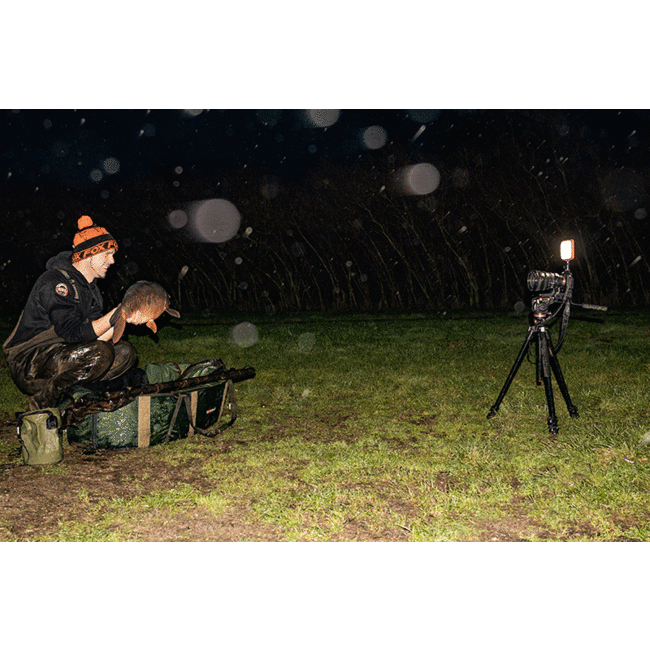 FOX Halo Photographie Lumière | Veilleuse