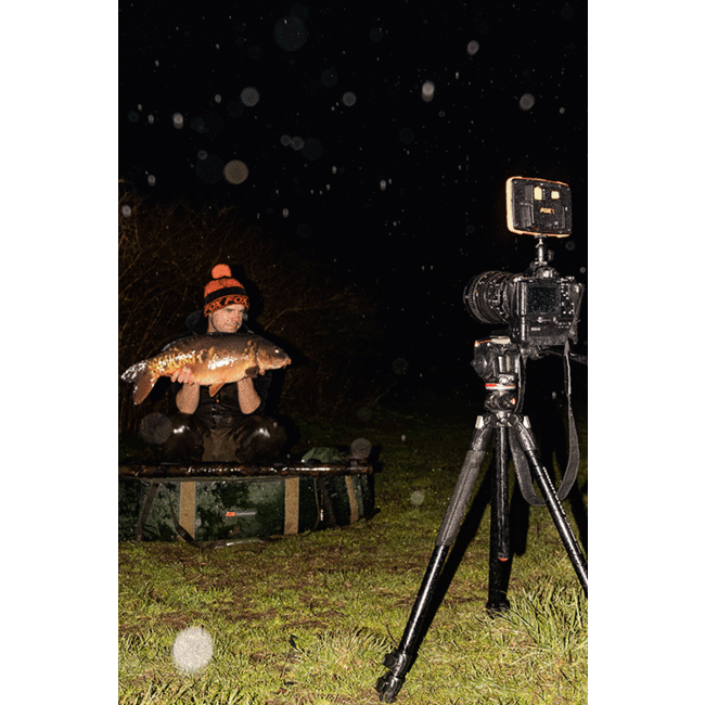 FOX Halo Photographie Lumière | Veilleuse