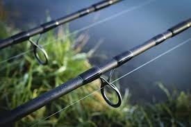 Shimano TX-1A Carp Rod Series : Qualité abordable pour les pêcheurs de carpe débutants