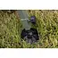 Carp Porter MK2 Fat Boy Barrow DPM