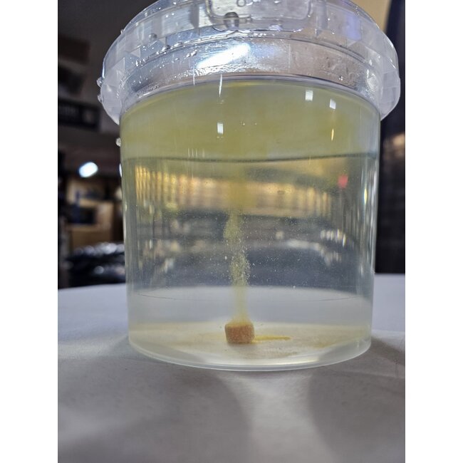 CC Solution Boilies Tablettes Honey Citrus Booster | 9mm | env. 95 pièces