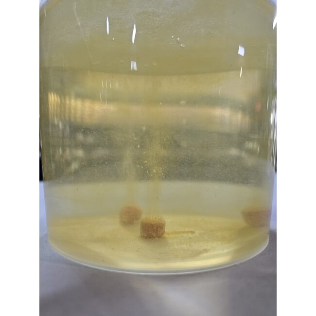 CC Solution Boilies Tablettes Honey Citrus Booster | 9mm | env. 95 pièces