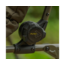 Avid Carp Benchmark Leveltech Hi-Back Recliner Chair