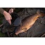Korda Seau d'eau Compac
