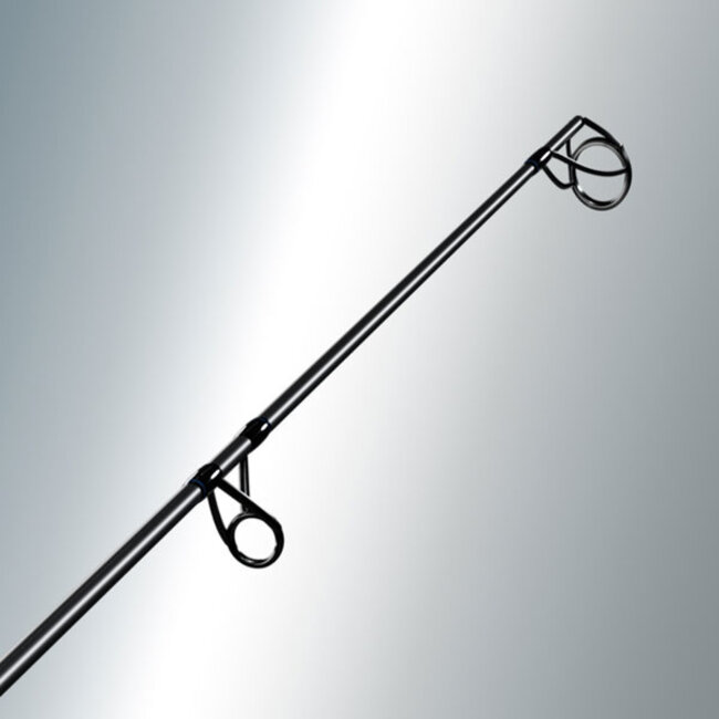 Sportex Advancer CS-2 Carpe | 12FT | 2.75LB