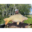 CC Solution Boilies Honey Citrus 20KG Offre de boîte | Offre groupée