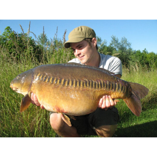 Korda IQ2 / IQ Extra Soft (20 mètres)