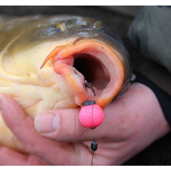 Pole Position Poids Vis