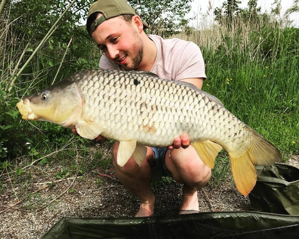 Pêche à la carpe Delfzijl | Route côtière