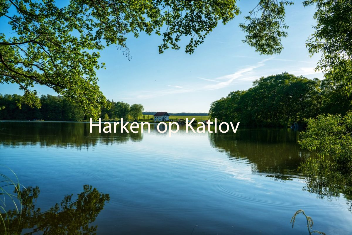 Raking on Katlov en République tchèque avec Mark Balk et Justin de Haan