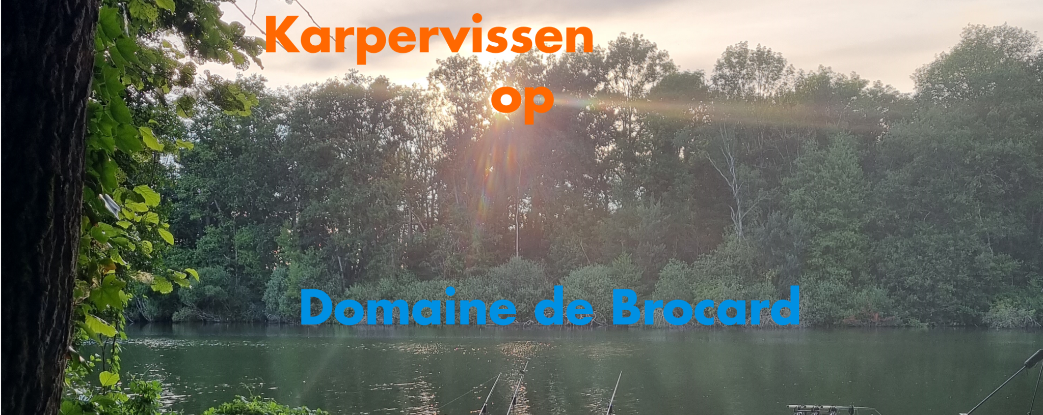 Pêche à la carpe au Domaine de Brocard