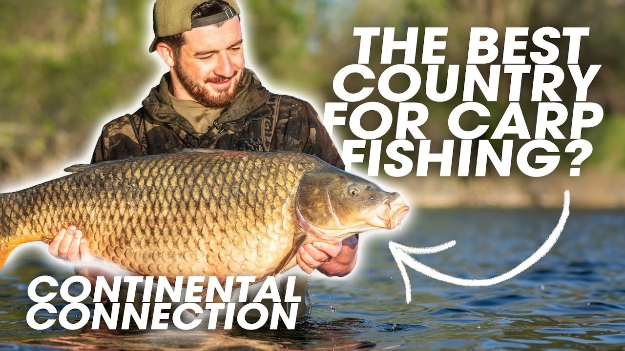 La pêche à la grosse carpe européenne : Continental Connection [FILM]