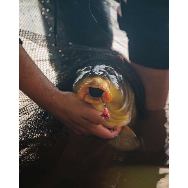 FOX Fox EDGES™ Illusion Fluoro D Rigs : Solutions prêtes à l'emploi pour une pêche à la carpe réussie.