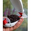 FOX Large X Spomb™ pour une alimentation rapide et précise de grandes quantités d'appâts.
