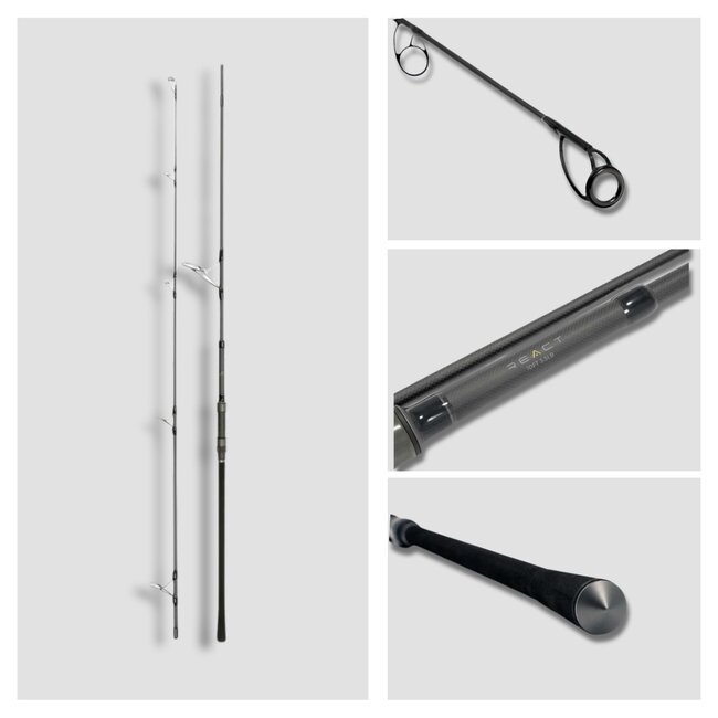 Avid Carp React 10ft - canne à carpe
