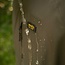 Avid Carp Combinaison imperméable Revolve - Combinaison de pluie