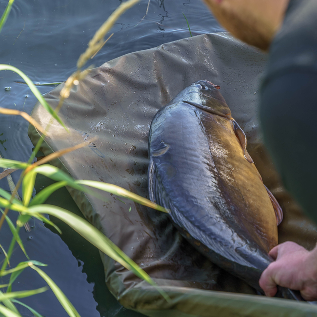 Avid Carp Tapis plat pliant - Compact - Léger