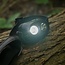 RidgeMonkey VRH300X Pro Lampe frontale USB rechargeable avec 5 modes de couleur