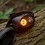 RidgeMonkey VRH300X Pro Lampe frontale USB rechargeable avec 5 modes de couleur