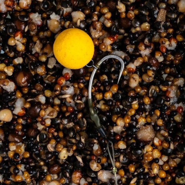 Nash Curve Shank X - Hameçon à carpe