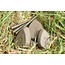 Korda Flatliner Pear Inline