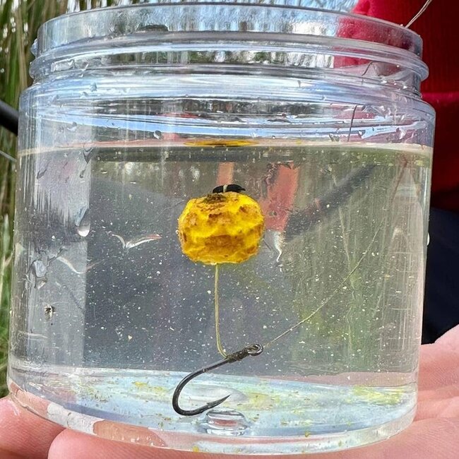 TigAir Nuts - Noix de tigre pop-up